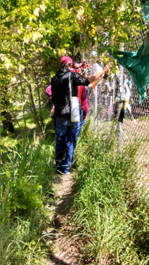 Outside of Tamburello; against the fence, on a narrow ledge