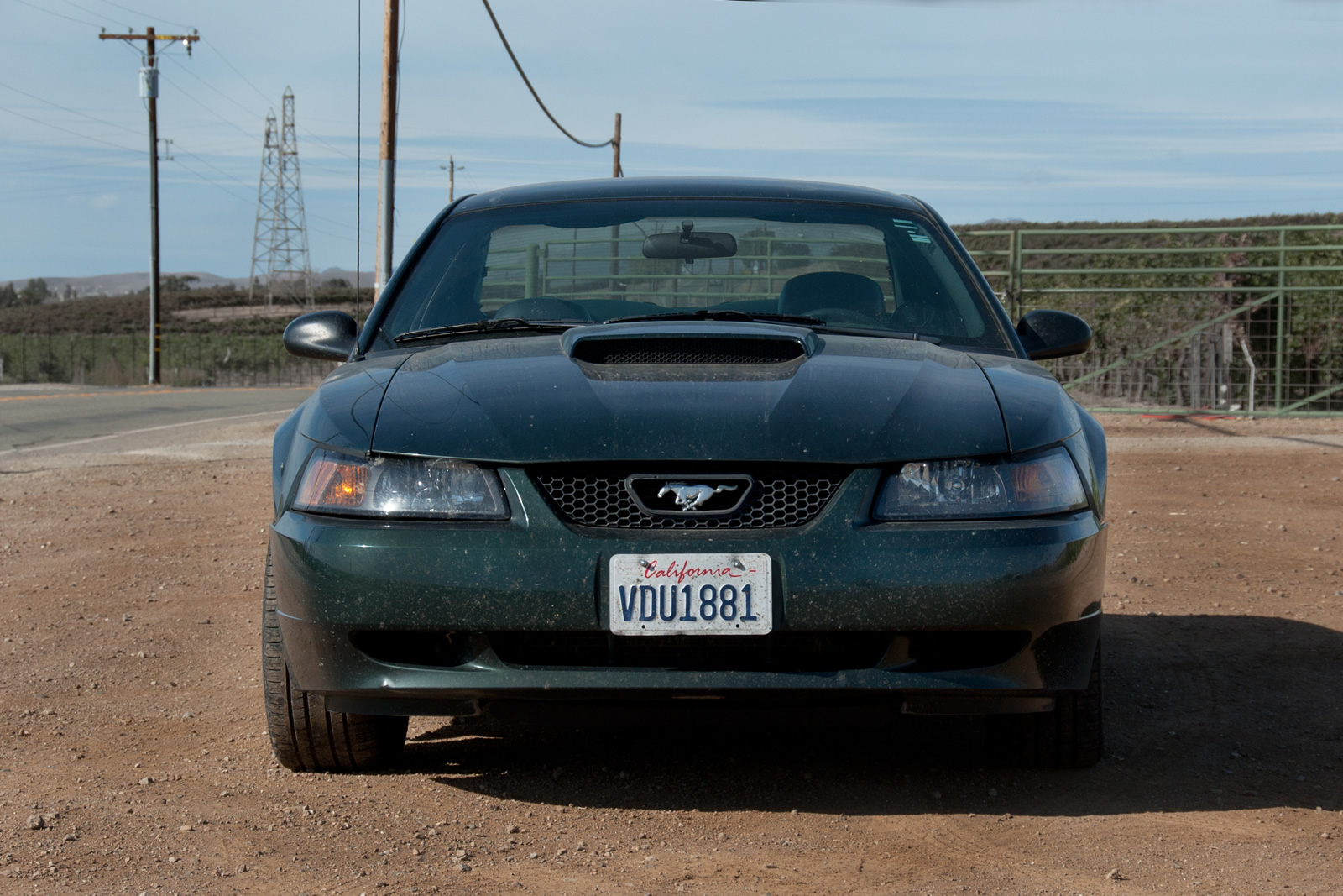 Scuderia Mugshots, Part 1: Bullitt Mustang